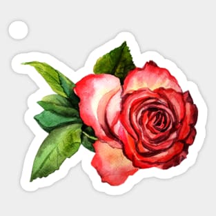 Watercolor rose Sticker